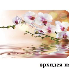 БОСТОН - 2 опоры Брифинг в Карталах - kartaly.mebel24.online | фото 4