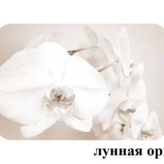 БОСТОН - 2 опоры Триумф в Карталах - kartaly.mebel24.online | фото 18
