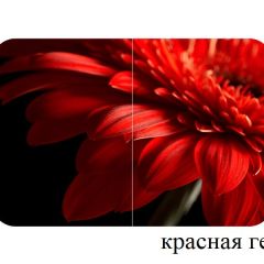 БОСТОН опоры Триумф в Карталах - kartaly.mebel24.online | фото 27