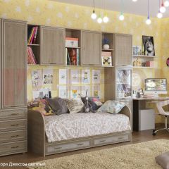 Детская Карина композиция 1 (Гикори Джексон светлый) в Карталах - kartaly.mebel24.online | фото