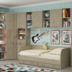 Детская Карина композиция 7 (Гикори Джексон светлый) в Карталах - kartaly.mebel24.online | фото