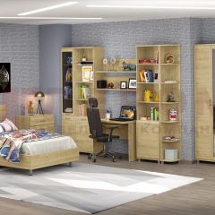 Детская Мелисса композиция 10 (Гикори Джексон светлый) в Карталах - kartaly.mebel24.online | фото
