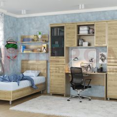 Детская Мелисса композиция 12 (Гикори Джексон светлый) в Карталах - kartaly.mebel24.online | фото
