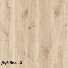 Эйп Шкаф комбинированный 13.14 в Карталах - kartaly.mebel24.online | фото 4