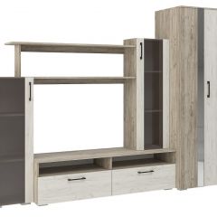 Гостиная Эмма (Дуб Крафт серый/белый) в Карталах - kartaly.mebel24.online | фото 2