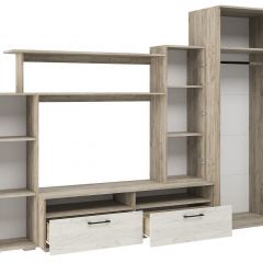 Гостиная Эмма (Дуб Крафт серый/белый) в Карталах - kartaly.mebel24.online | фото 3