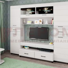 Гостиная Камелия Композиция 10 (Снежный ясень) в Карталах - kartaly.mebel24.online | фото