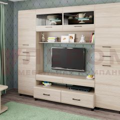Гостиная Камелия Композиция 10 (Ясень Асахи) в Карталах - kartaly.mebel24.online | фото