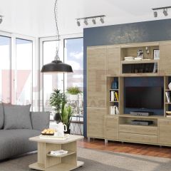 Гостиная Мелисса Композиция 2 (Гикори Джексон светлый) в Карталах - kartaly.mebel24.online | фото