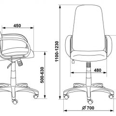 Кресло руководителя Бюрократ CH-808AXSN/G темно-серый 3C1 в Карталах - kartaly.mebel24.online | фото 3