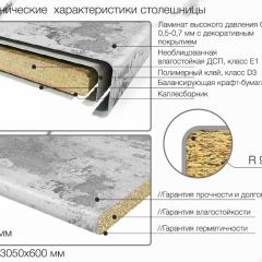 Кухонный фартук со столешницей (А-012) в едином стиле (3050 мм) в Карталах - kartaly.mebel24.online | фото 6