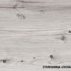 Кухонный гарнитур Сиена стандарт 1600 мм в Карталах - kartaly.mebel24.online | фото 8