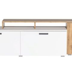 Гостиная Эльза (модульная) Дуб Крафт Золотой/Белый в Карталах - kartaly.mebel24.online | фото 4
