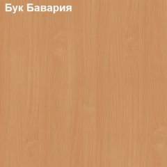 Надставка к столу компьютерному низкая Логика Л-5.1 в Карталах - kartaly.mebel24.online | фото 2