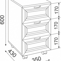 Подростковая ОСТИН (модульная) в Карталах - kartaly.mebel24.online | фото 53