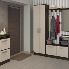 Прихожая Энтер (Венге/Дуб молочный) Комплектация 3 в Карталах - kartaly.mebel24.online | фото