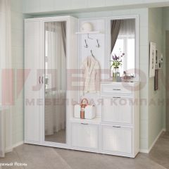 Прихожая Карина композиция 1 (Снежный ясень) в Карталах - kartaly.mebel24.online | фото