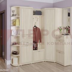 Прихожая Карина композиция 5 (Ясень Асахи) в Карталах - kartaly.mebel24.online | фото