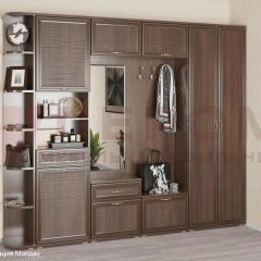 Прихожая Карина композиция 7 (Акация Молдау) в Карталах - kartaly.mebel24.online | фото