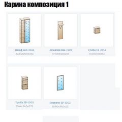 Прихожая Карина (модульная) в Карталах - kartaly.mebel24.online | фото 4