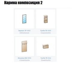 Прихожая Карина (модульная) в Карталах - kartaly.mebel24.online | фото 6