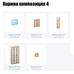 Прихожая Карина (модульная) в Карталах - kartaly.mebel24.online | фото 10