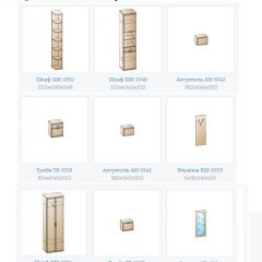 Прихожая Карина (модульная) в Карталах - kartaly.mebel24.online | фото 14