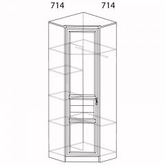 Шкаф угловой Лира №57 Дуб нортон темный в Карталах - kartaly.mebel24.online | фото 2