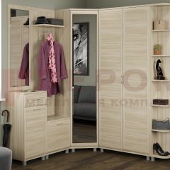Прихожая Мелисса композиция 10 (Ясень Асахи) в Карталах - kartaly.mebel24.online | фото