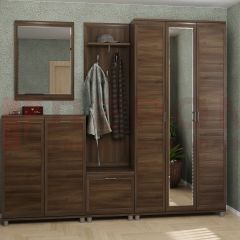 Прихожая Мелисса композиция 2 (Акация Молдау) в Карталах - kartaly.mebel24.online | фото