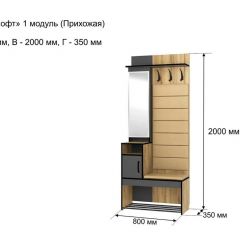ОЛЬГА-ЛОФТ 1 Прихожая в Карталах - kartaly.mebel24.online | фото 4