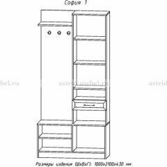 Прихожая София 1 в Карталах - kartaly.mebel24.online | фото 3