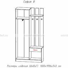 Прихожая София 8 в Карталах - kartaly.mebel24.online | фото 2