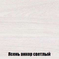 Шкаф 2-х створчатый МСП-1 (Ясень Анкор светлый) в Карталах - kartaly.mebel24.online | фото 4