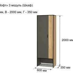 ОЛЬГА-ЛОФТ 3 Шкаф 2-х створчатый в Карталах - kartaly.mebel24.online | фото 4