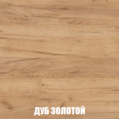Шкаф 3-х створчатый МСП-1 (Дуб Золотой/Камень темный) в Карталах - kartaly.mebel24.online | фото 4
