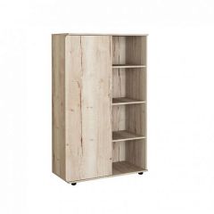 Шкаф комбинированный Дельта Лофт-13 Дуб Ирладндский в Карталах - kartaly.mebel24.online | фото