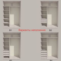 Шкаф-купе 1300 серии SILVER S1+S1+B2+PL2 (2 ящика+1 штанга+1 полка) профиль «Серебро» в Карталах - kartaly.mebel24.online | фото 5