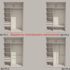 Шкаф-купе 1300 серии SILVER S1+S1+B2+PL2 (2 ящика+1 штанга+1 полка) профиль «Серебро» в Карталах - kartaly.mebel24.online | фото 6