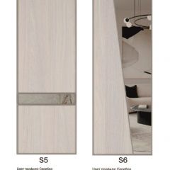 Шкаф-купе 1300 серии SILVER S3+S4+B2+PL4 (2 ящика+F обр.штанга) профиль «Серебро» в Карталах - kartaly.mebel24.online | фото 11