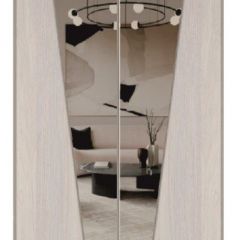 Шкаф-купе 1300 серии SILVER S3+S4+B2+PL4 (2 ящика+F обр.штанга) профиль «Серебро» в Карталах - kartaly.mebel24.online | фото 12