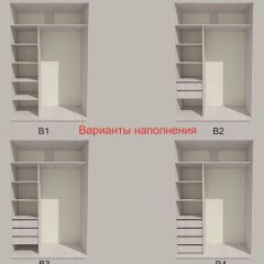 Шкаф-купе 1300 серии SILVER S3+S4+B2+PL4 (2 ящика+F обр.штанга) профиль «Серебро» в Карталах - kartaly.mebel24.online | фото 5