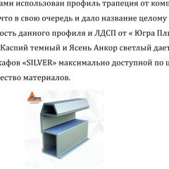 Шкаф-купе 1300 серии SILVER S3+S4+B2+PL4 (2 ящика+F обр.штанга) профиль «Серебро» в Карталах - kartaly.mebel24.online | фото 4