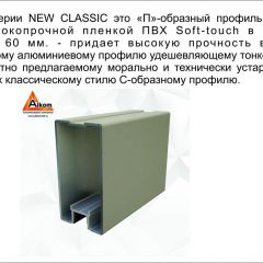 Шкаф-купе 1500 серии NEW CLASSIC K3+K3+B2+PL1 (2 ящика+1 штанга) профиль «Капучино» в Карталах - kartaly.mebel24.online | фото 5