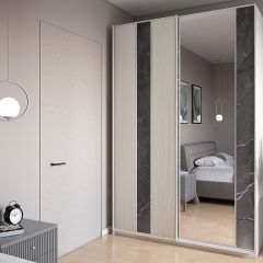 Шкаф-купе 1500 серии SILVER S4+S3Z+B2+PL1 (2 ящика+1 штанга) профиль «Серебро» в Карталах - kartaly.mebel24.online | фото