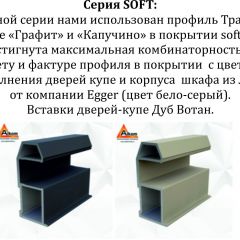 Шкаф-купе 1600 серии SOFT D8+D2+B2+PL4 (2 ящика+F обр.штанга) профиль «Графит» в Карталах - kartaly.mebel24.online | фото 12