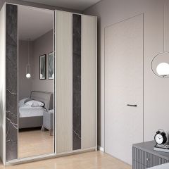 Шкаф-купе 1700 серии SILVER S3+S4+B2+PL4 (2 ящика+F обр.штанга) профиль «Серебро» в Карталах - kartaly.mebel24.online | фото