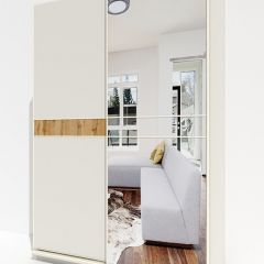 Шкаф-купе 1800 серии SOFT D6+D4+B2+PL2 (2 ящика+1штанга+1 полка) профиль «Капучино» в Карталах - kartaly.mebel24.online | фото 4
