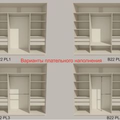 Шкаф-купе 2400 серии SOFT D5+D5+D5+B22+PL4 (по 2 ящика лев/прав+2штанги) профиль «Графит» в Карталах - kartaly.mebel24.online | фото 4
