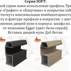 Шкаф-купе 2400 серии SOFT D5+D5+D5+B22+PL4 (по 2 ящика лев/прав+2штанги) профиль «Графит» в Карталах - kartaly.mebel24.online | фото 11